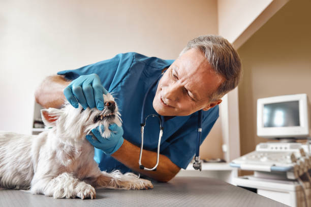 Best Same-Day Emergency Dental Services in Fort Oglethorpe, GA
